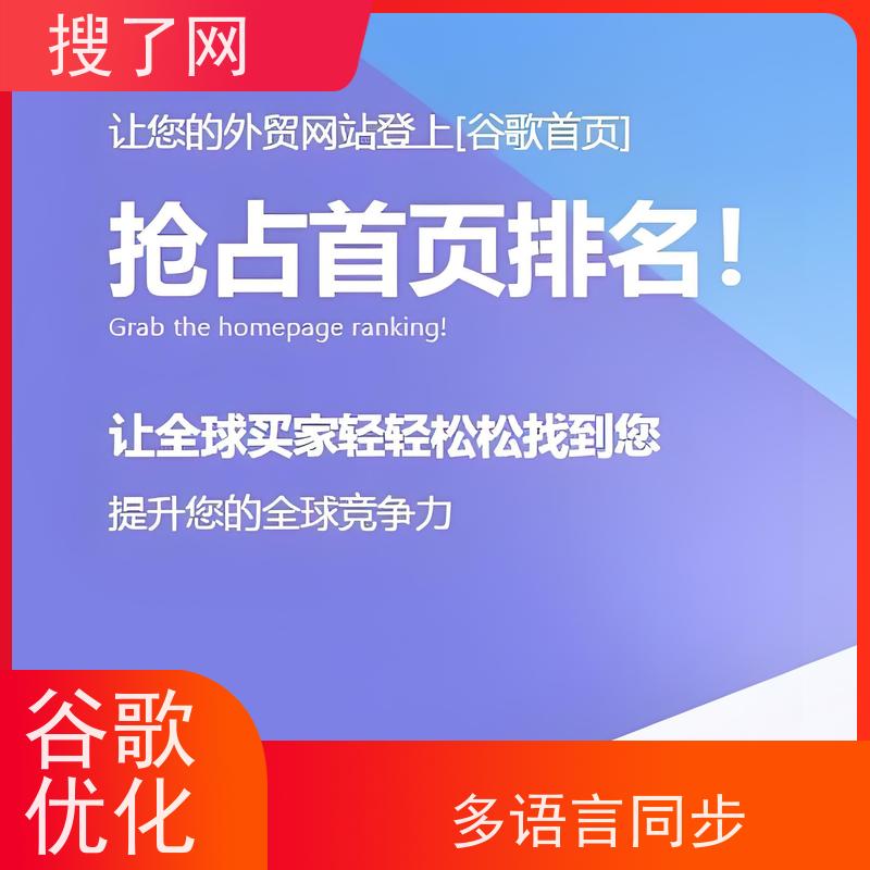 一站式saas 谷歌优化解决方案 小组多对一精心服务