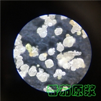 番茄汁喷雾制粒机-低温塔-常州永昌制粒