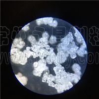 ������ݮ�����ܷ��������������-������-������������