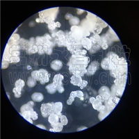 ��Ƥ��ԭ�;������ܷ�����������-������-������������