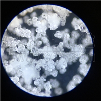 茶叶提取物喷雾造粒干燥塔-低温塔-常州永昌制粒