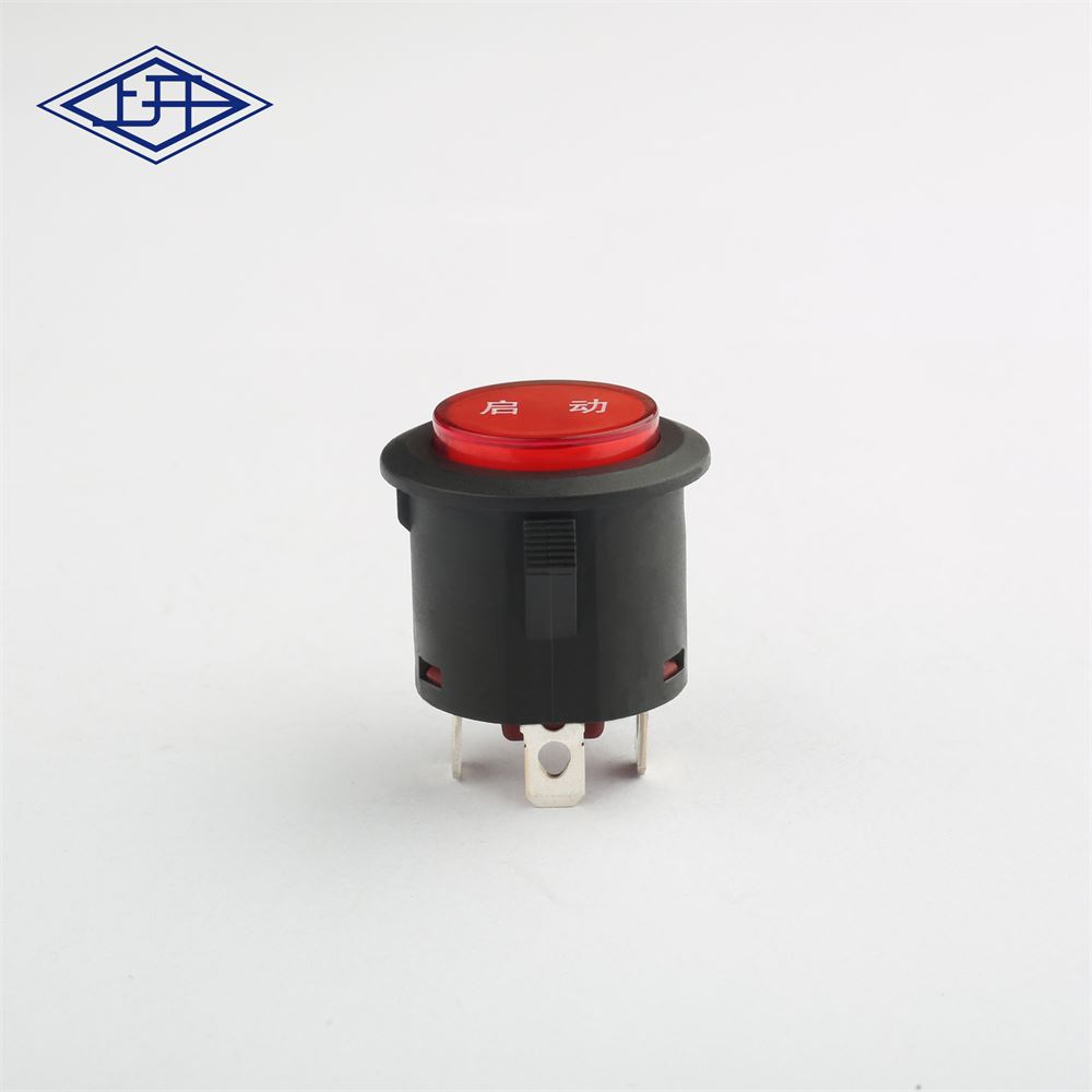 广东带灯按钮开关公司