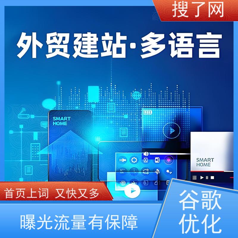 一站式saas 谷歌优化建站 小组多对一精心服务