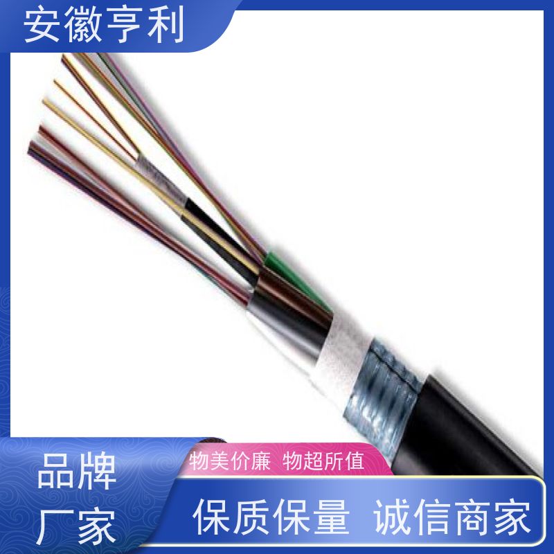安徽亨利仪表电缆有限公司 10*1.5 无氧铜 仪表控制电缆