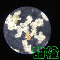 大豆分离蛋白速溶粉喷雾造粒干燥塔-低温塔-常州永昌制粒