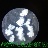 ��ĸ��ȡ����������������-������-������������