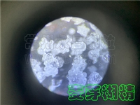 �߲���ȡ�����ܷ���������������-������-������������