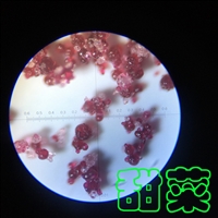 ���׵;�����������������-������-������������