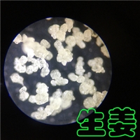 大豆分离蛋白速溶粉喷雾干燥机-低温塔-常州永昌制粒