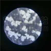 低聚异麦芽糖速溶粉喷雾造粒塔-低温塔-常州永昌制粒