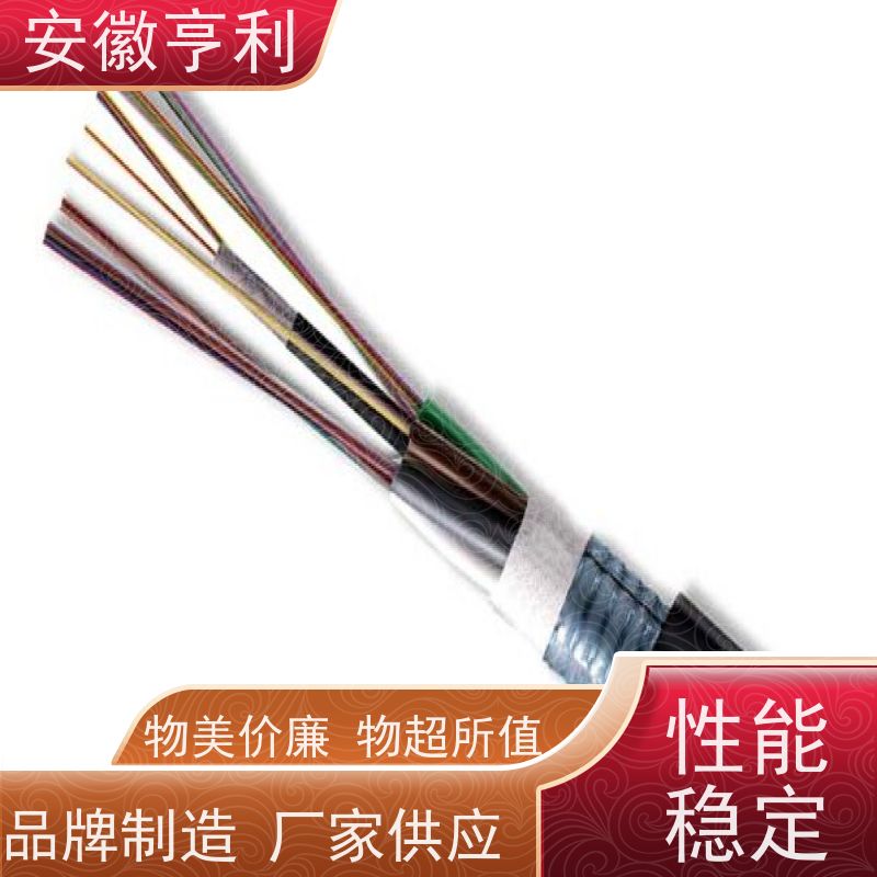安徽亨利仪表电缆有限公司 信号传输 足米足方 21*1.5