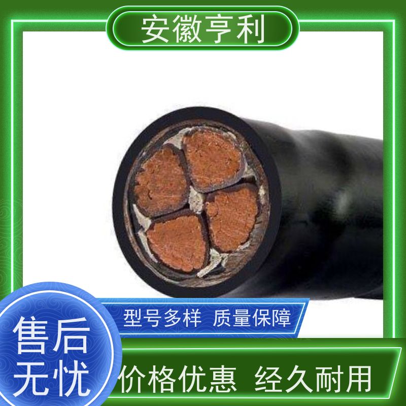 安徽亨利仪表电缆有限公司 性能稳定 足米足方 13*1.5
