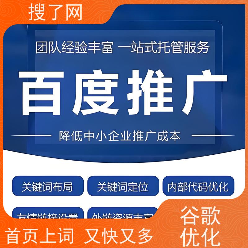 手机/电脑两端自适应 谷歌排名优化案例 服务亮点梳理