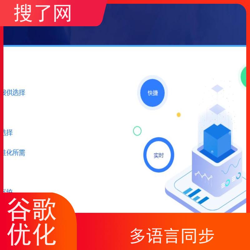 一站式saas 谷歌优化咨询 小组多对一精心服务