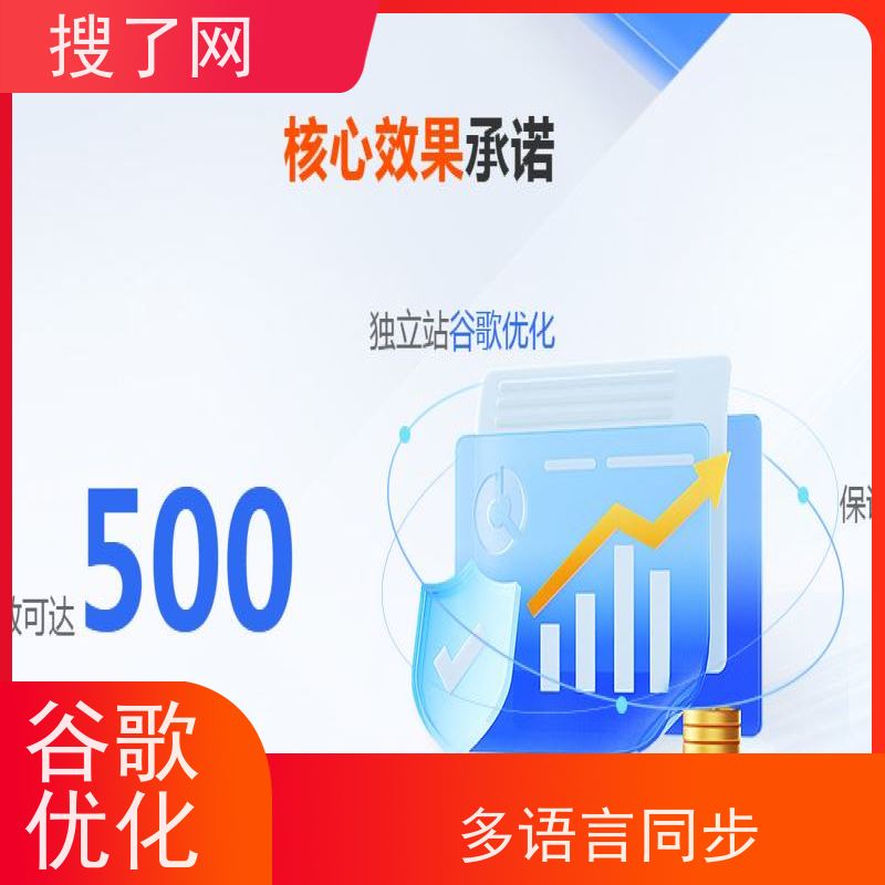 多语种同步进行 谷歌独立站优化推广 一站式外贸营销解决方案