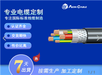 欧标认证2YSLCYK-J耐油电缆 CE认证屏蔽变频电缆