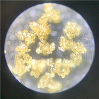 �㽺ԭ�������ܷ��������������-������-������������