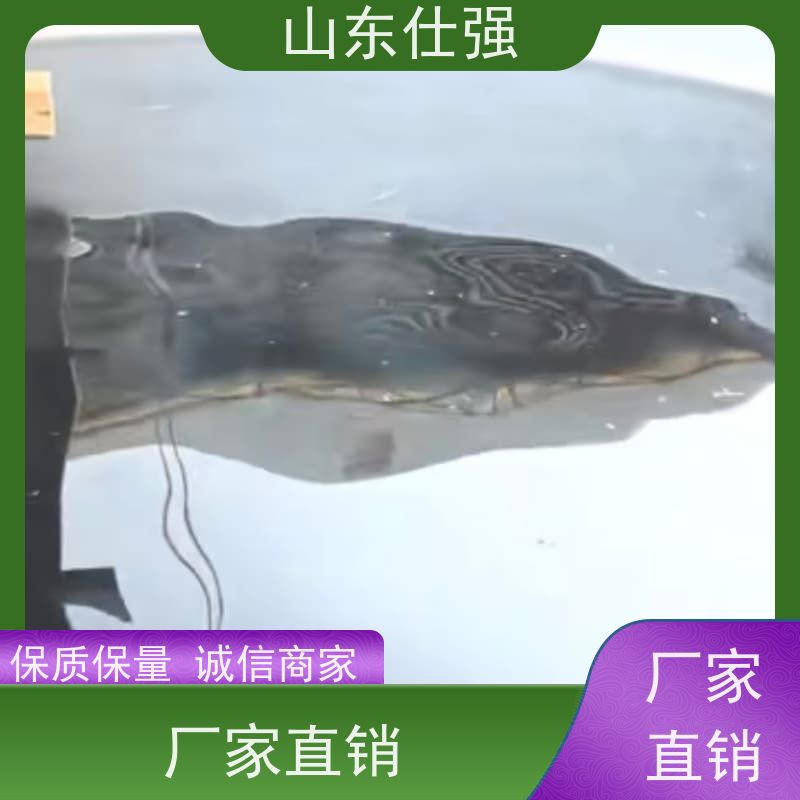 山东仕强 油箱除锈剂 品质保障