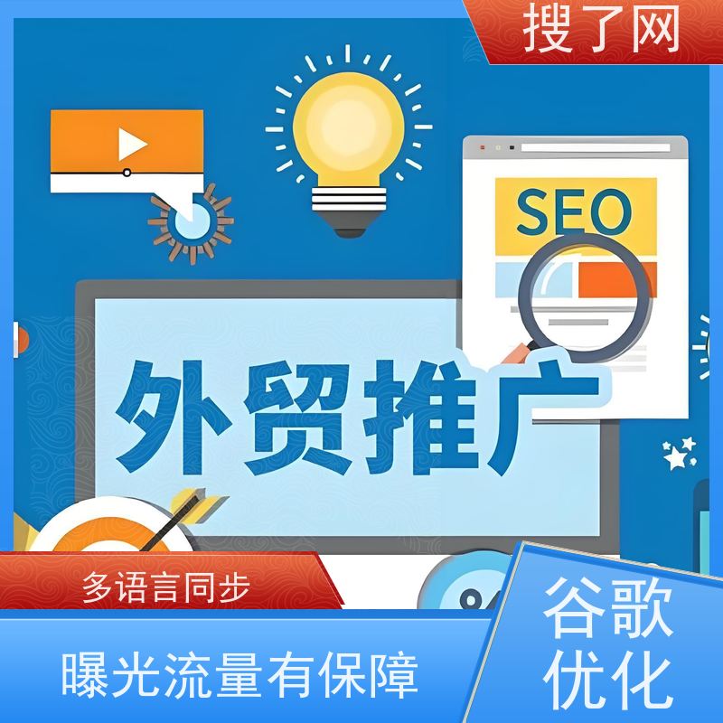 一站式saas 谷歌独立站优化推广 小组多对一精心服务
