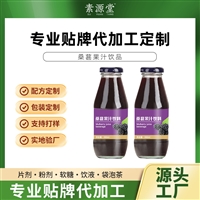 人参多肽氨基酸饮品 果蔬汁饮料植物饮品 oem贴牌 支持小批量代发