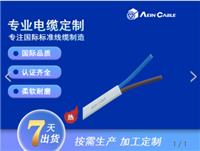 欧标认证H03V2V2H2-F扁电缆 CE认证2芯柔性电缆