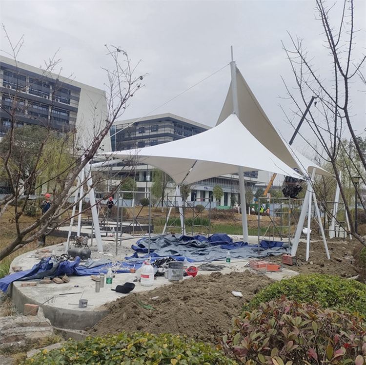 仿树叶脉络膜结构 湖畔河边观景台遮阳伞 落地维护