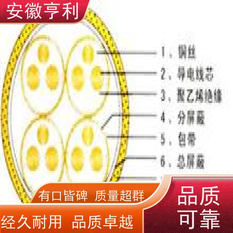 安徽亨利仪表电缆有限公司 10*1.5 电阻合格 屏蔽控制电缆
