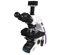 DM-D型 三目生物视频显微镜厂家