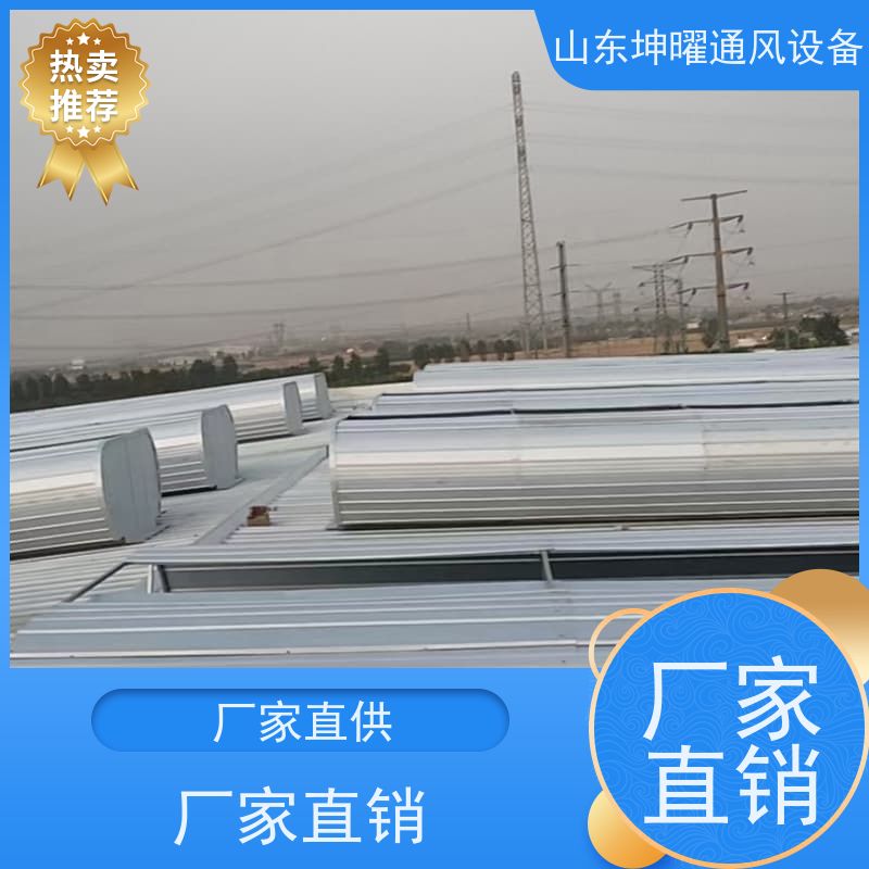 启闭式通风气楼 C4避风型电动采光排烟天窗 电话咨询