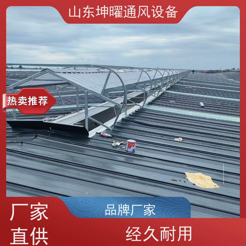 启闭式通风气楼 普通控制方式电动采光排烟天窗 价格
