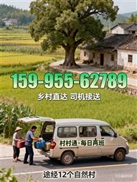 河北热点:日照到缙云客车电话-车票-宠物托运