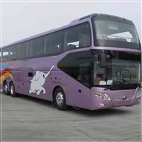 河北热点:潍坊到中山客车时刻表-车票-有卧铺吗