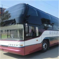 德清到南阳直达大巴宠物托运:2026