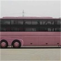 河北热点:德州到宝应客车-车票-宠物托运