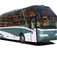 盛泽到曲靖豪华汽车宠物托运:2026