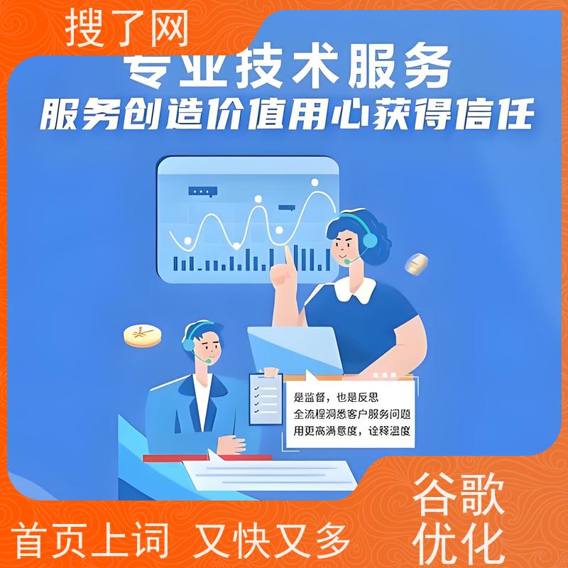 手机/电脑两端自适应  谷歌优化排名费用 小组多对一精心服务
