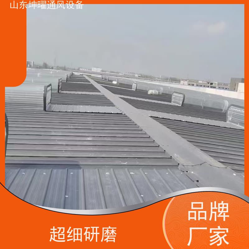 启闭式通风气楼 智能网络控制方式电动采光排烟天窗 厂商