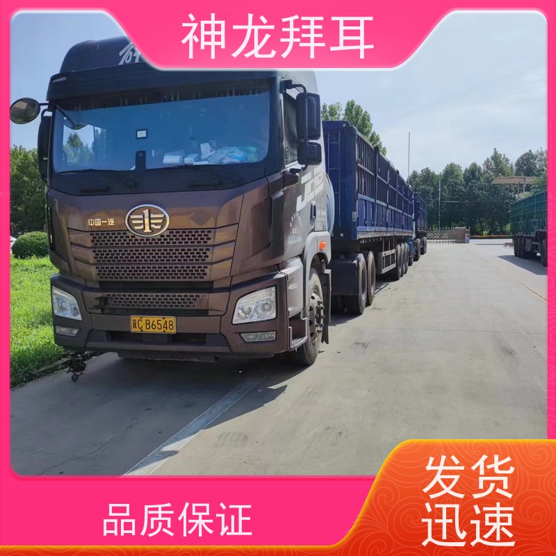 神龙拜耳 光伏支架冲孔机 安全认证 批发