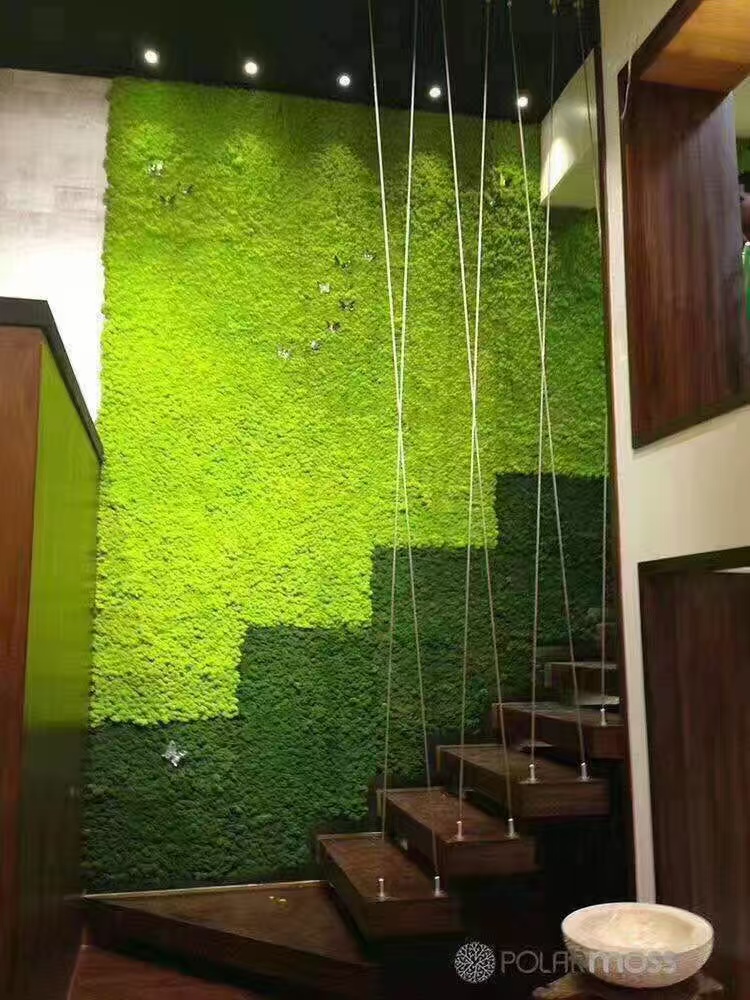 金华 苔藓地毯  厂家价格