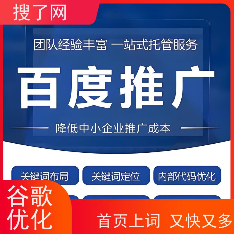 手机/电脑两端自适应  谷歌排名优化建站 定制化方案