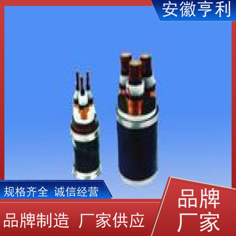 安徽亨利仪表电缆有限公司 品质保证 足米足方 13*1.5