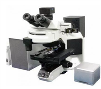 FA-500 分泌物检测仪上海代理