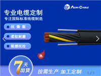 欧标认证RVV2G控制连接电缆 CE认证双钢丝葫芦手柄电缆