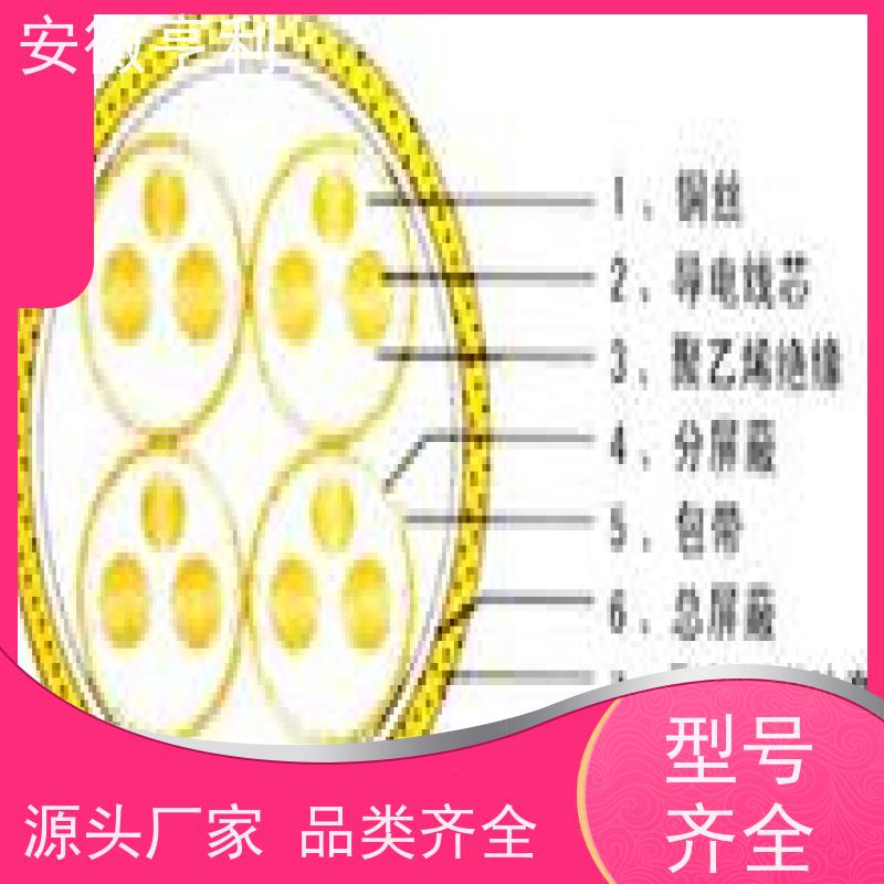 安徽亨利仪表电缆有限公司 10*1.5 额定电压 高温控制电缆