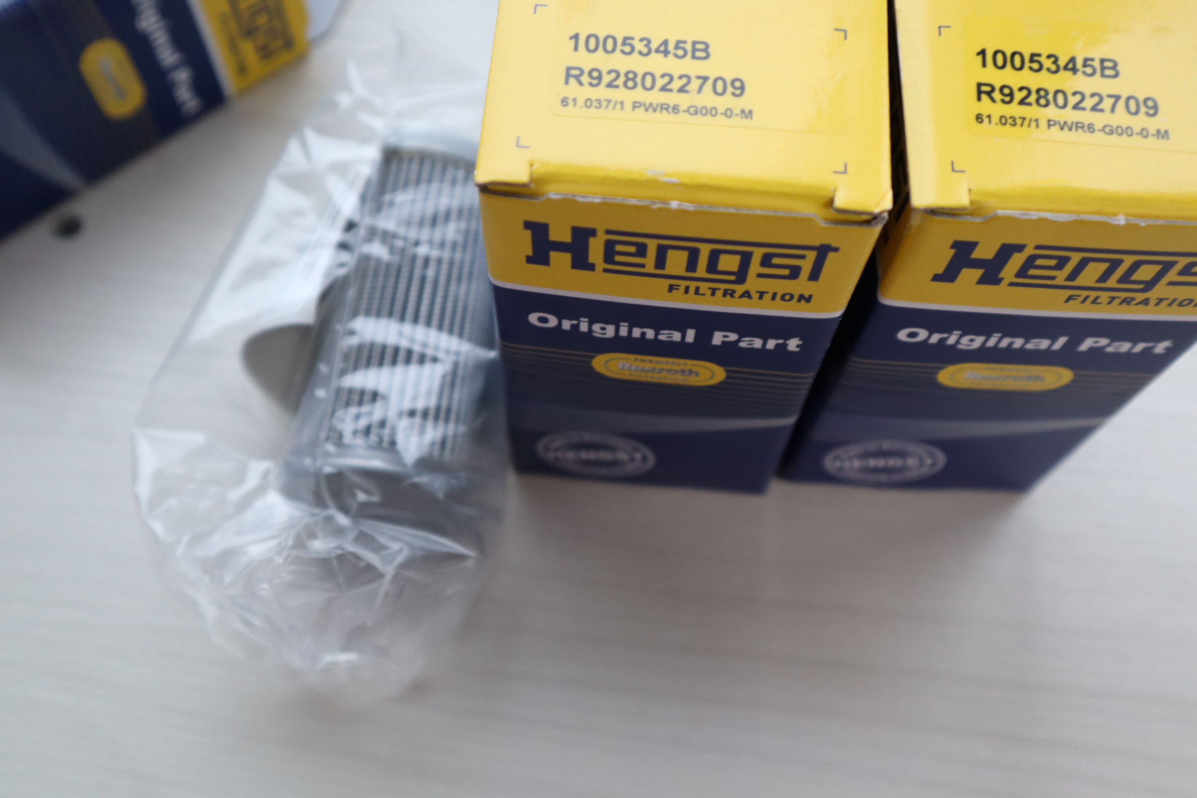 1005345B R928022709 61.037/1 PWR6-G00-0-M 汉格斯特HENGST滤芯