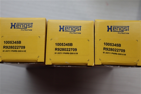 1005345B R928022709 61.037/1 PWR6-G00-0-M 汉格斯特HENGST滤芯