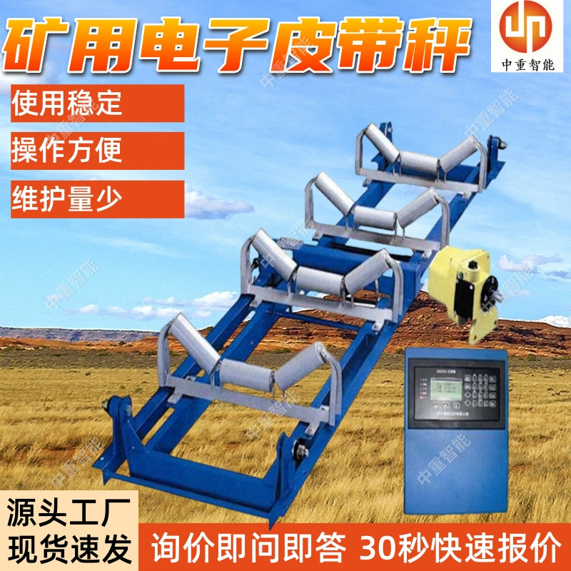 ICS-XB电子皮带秤 现货出售电子秤给料机 结构简单