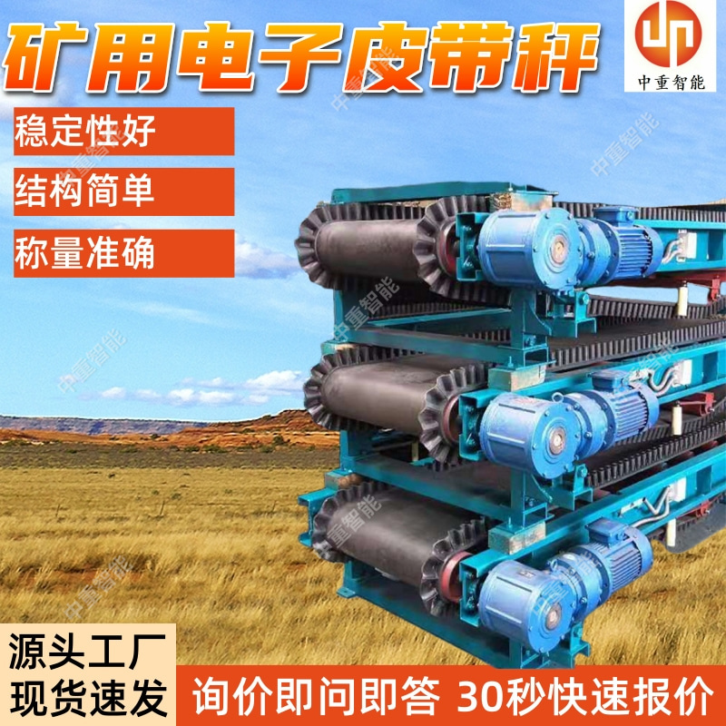 ICS-17矿用电子皮带秤 隔爆兼本安型皮带配料秤 维护量少