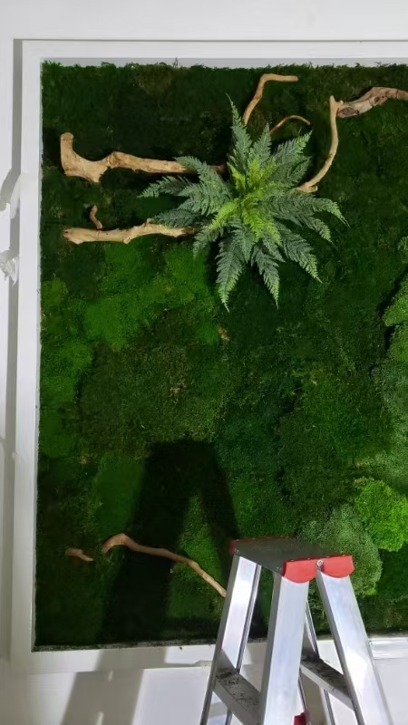绍兴 苔藓地毯  厂家直供