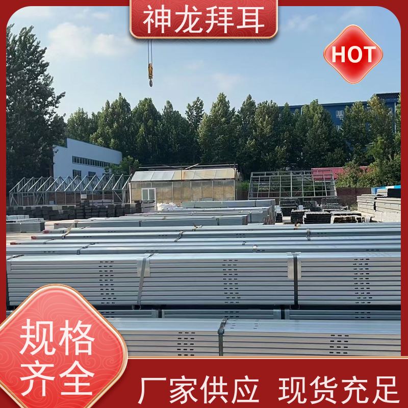 河北神龙拜耳 太阳能光伏支架成型机 模块化 生产厂家